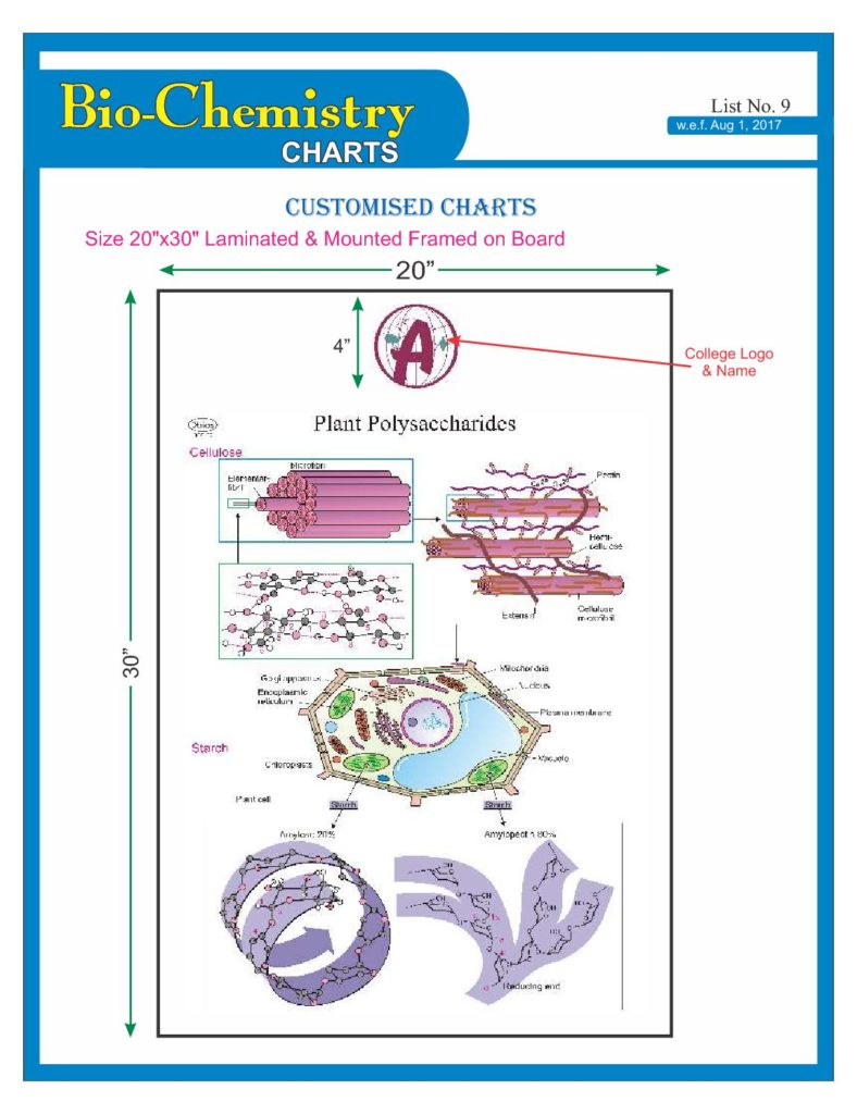 English Language Charts For Classes Not Masses