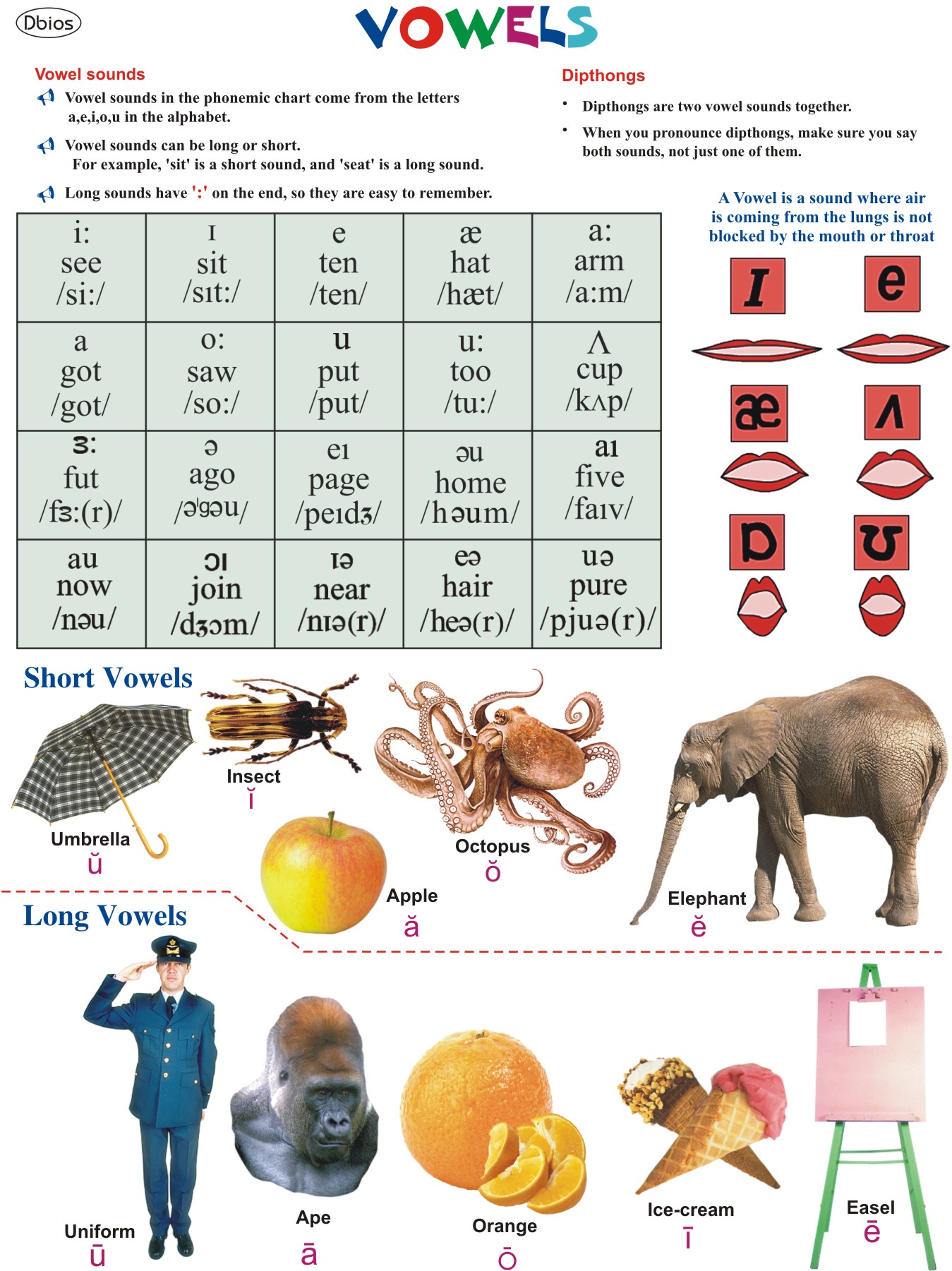 English Language Charts For Classes Not Masses