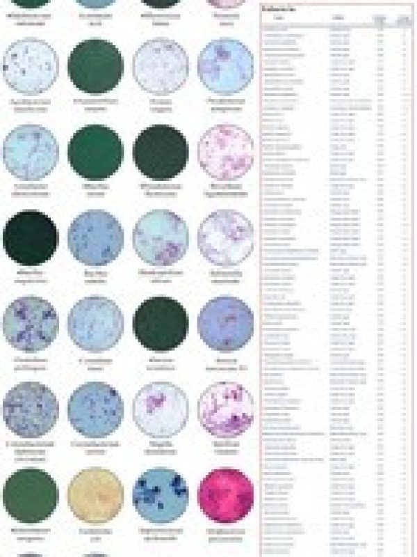 microbiology-slides-250x250